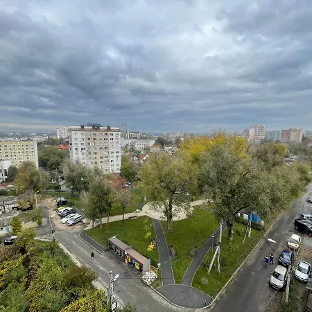 In The Area Of The
